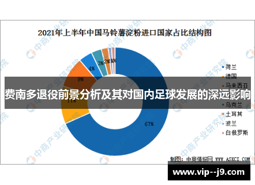 费南多退役前景分析及其对国内足球发展的深远影响