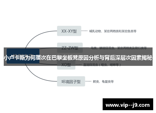 小卢卡斯为何屡次在巴黎坐板凳原因分析与背后深层次因素揭秘 小卢卡斯为何屡次在巴黎坐板凳原因分析与背后深层次因素揭秘