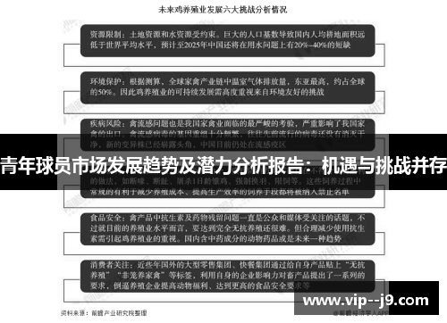 青年球员市场发展趋势及潜力分析报告:机遇与挑战并存 青年球员市场发展趋势及潜力分析报告:机遇与挑战并存