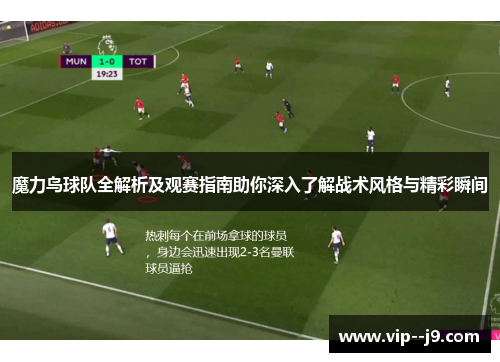 魔力鸟球队全解析及观赛指南助你深入了解战术风格与精彩瞬间