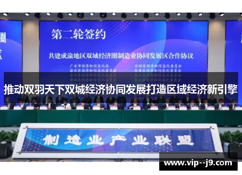 推动双羽天下双城经济协同发展打造区域经济新引擎