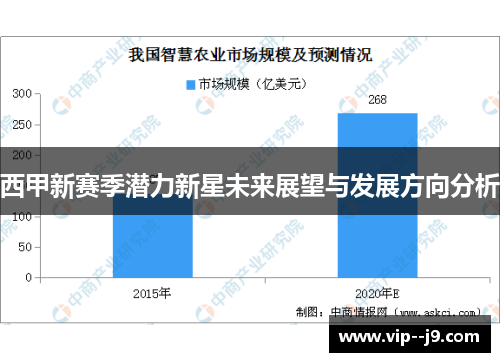 西甲新赛季潜力新星未来展望与发展方向分析
