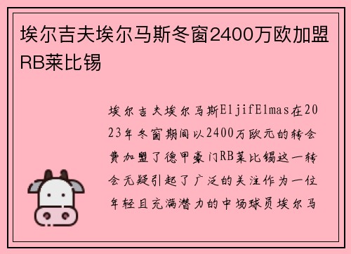 埃尔吉夫埃尔马斯冬窗2400万欧加盟RB莱比锡